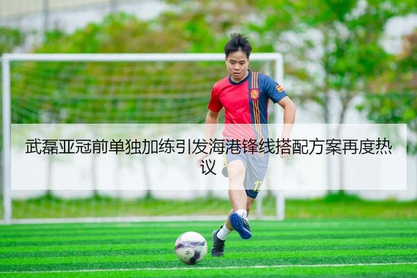 武磊亚冠前单独加练引发海港锋线搭配方案再度热议 - BandaoSports